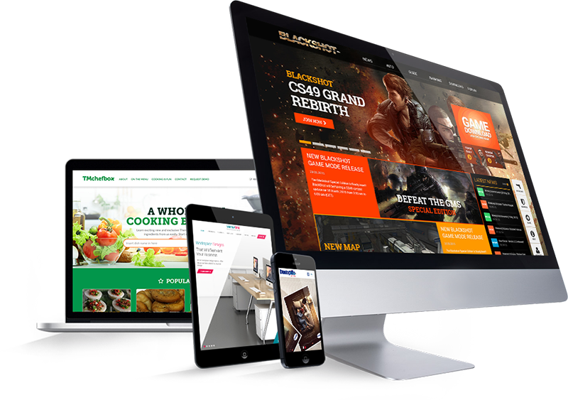 Web Design & Development